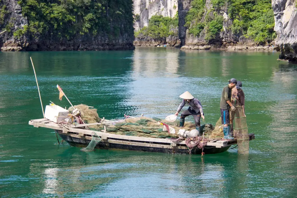 Halong & Lan Ha Bay Cruise 3 Days