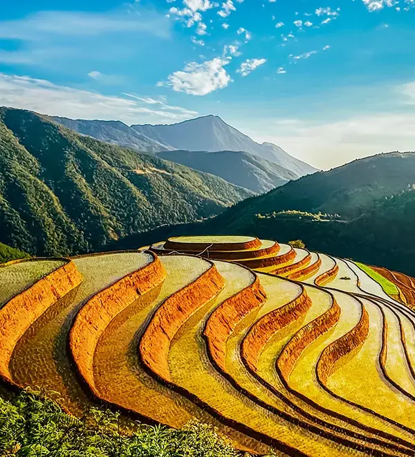 Rice terraces surrounded by mountains in a beautiful Northern Vietnam landscape