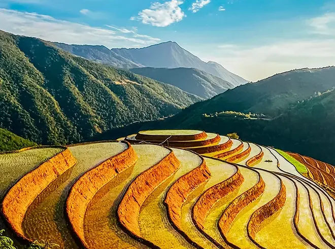 Rice terraces surrounded by mountains in a beautiful Northern Vietnam landscape