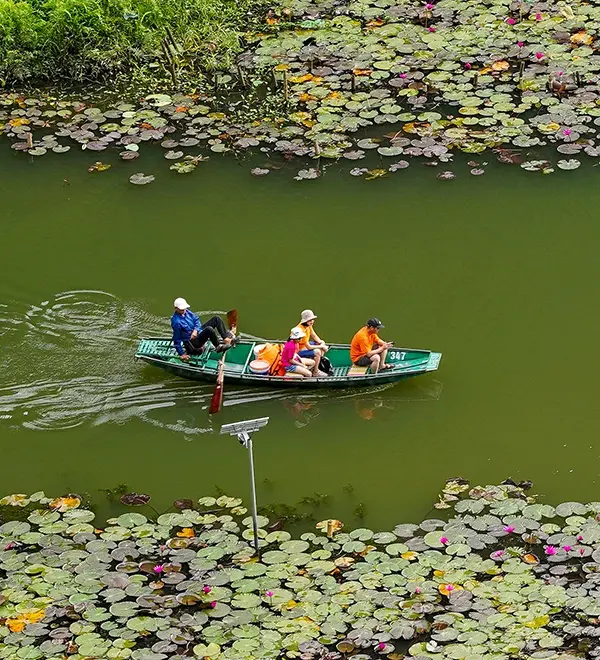 Travelers Enjoying a Sampan Boat Ride Among Lotus Leaves in Ninh Binh