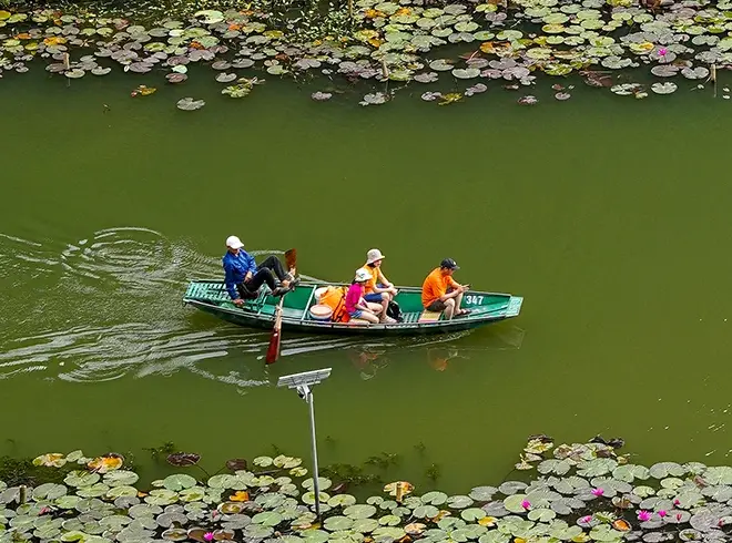 Travelers Enjoying a Sampan Boat Ride Among Lotus Leaves in Ninh Binh