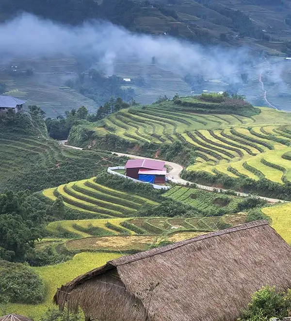 Sapa destination with stunning rice terraces and misty mountain valleys