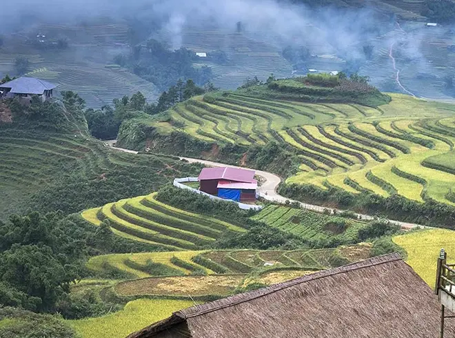 Sapa destination with stunning rice terraces and misty mountain valleys