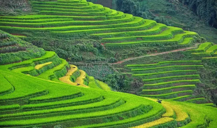 Northern Vietnam Travel Guide: Best Routes & Itinerary Planning