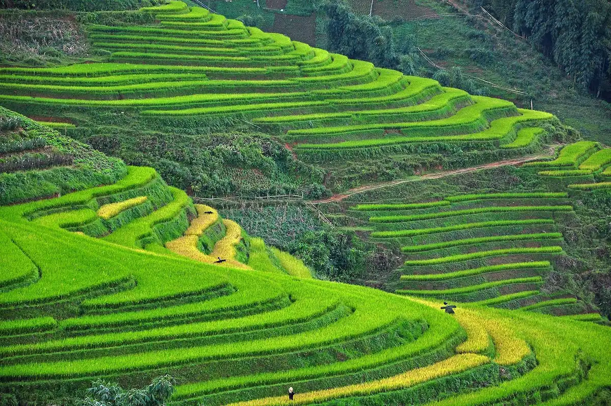 Northern Vietnam Travel Guide: Best Routes & Itinerary Planning