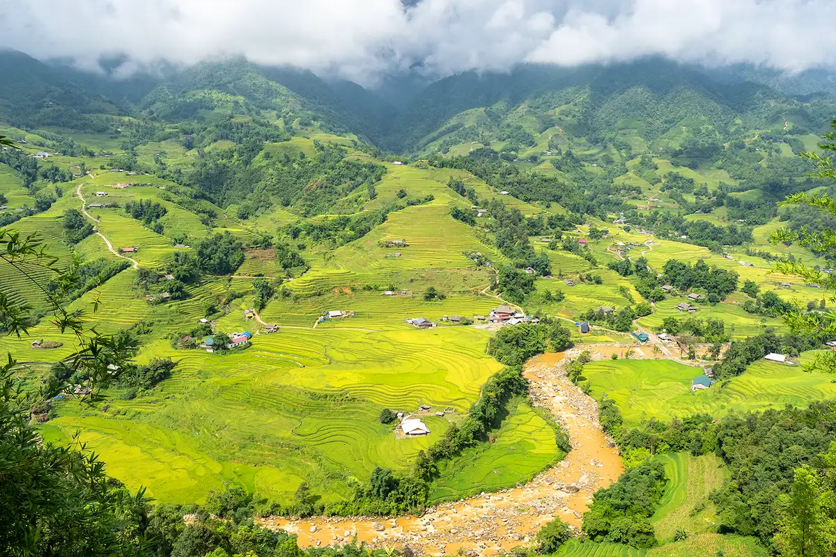 Golden rice terraces curve around villages on Sapa's mountain slopes