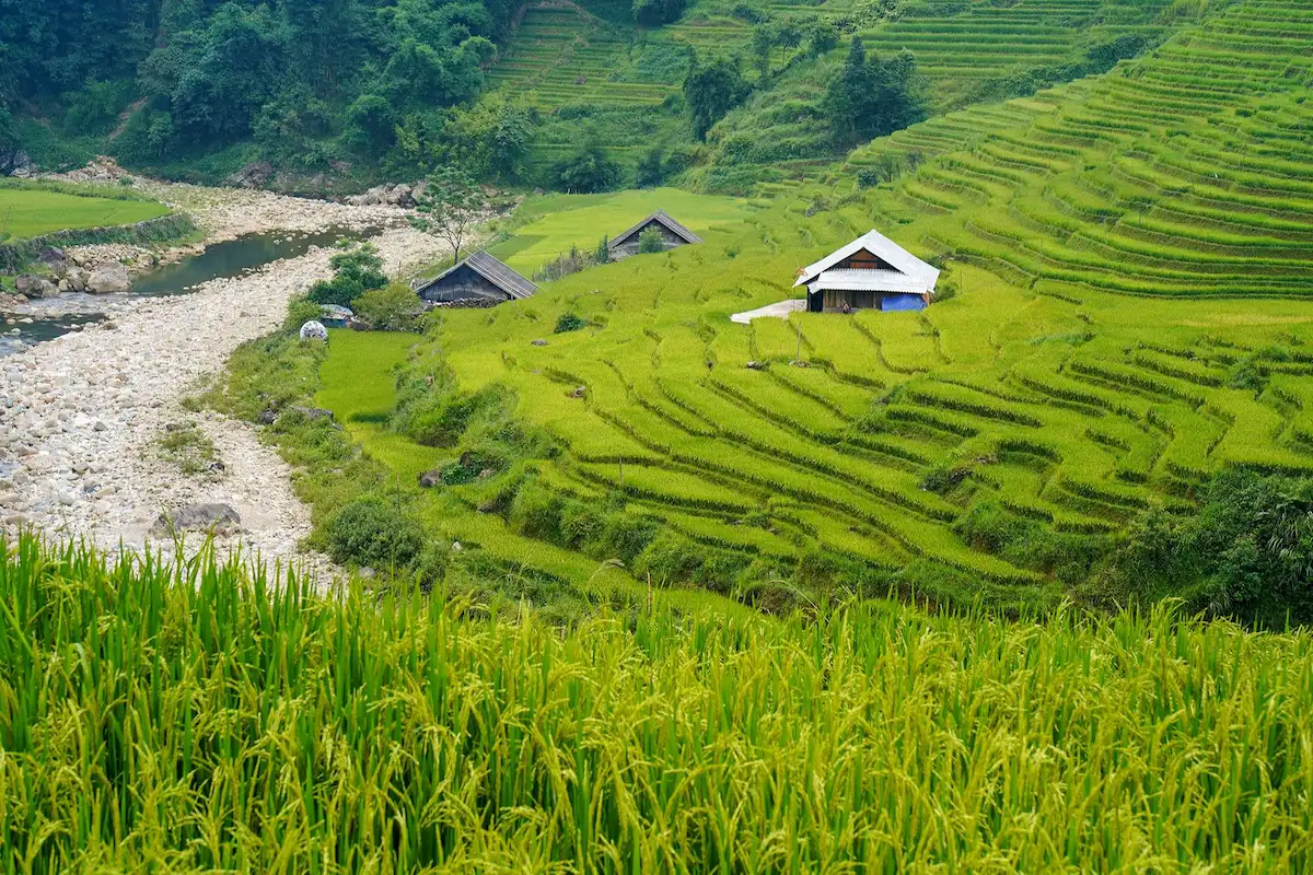 Green terraced fields and rural houses beneath forested hills