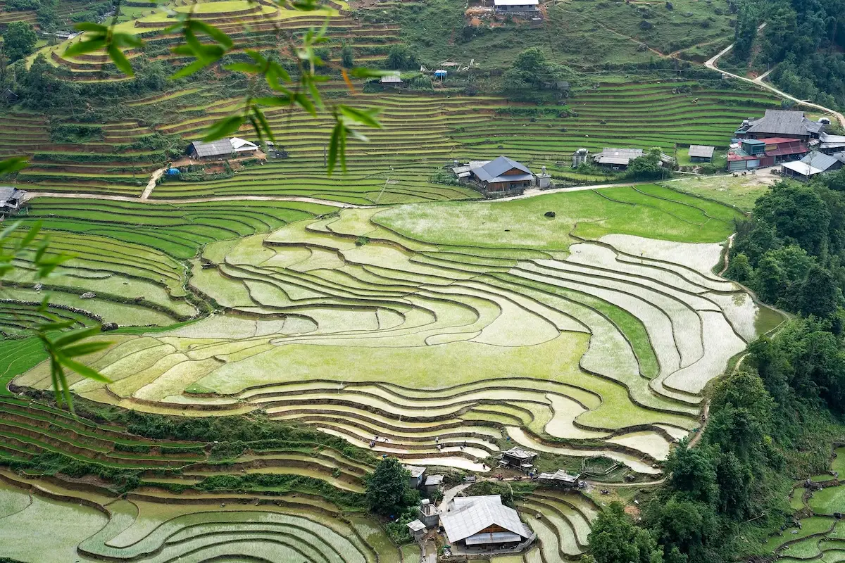 Sapa travel guide: water-pouring season rice terraces filled with water in Vietnam